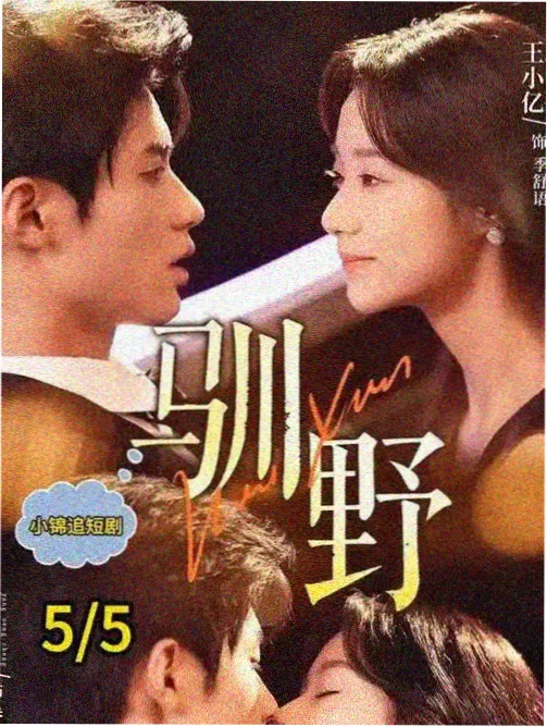 口碑榜单第五名戈壁长直线的作品缩略图